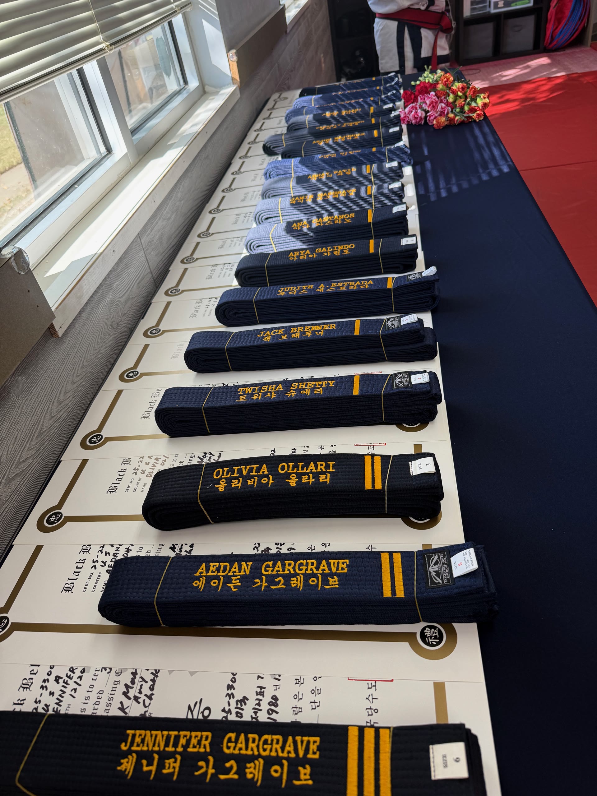 Martial arts belts